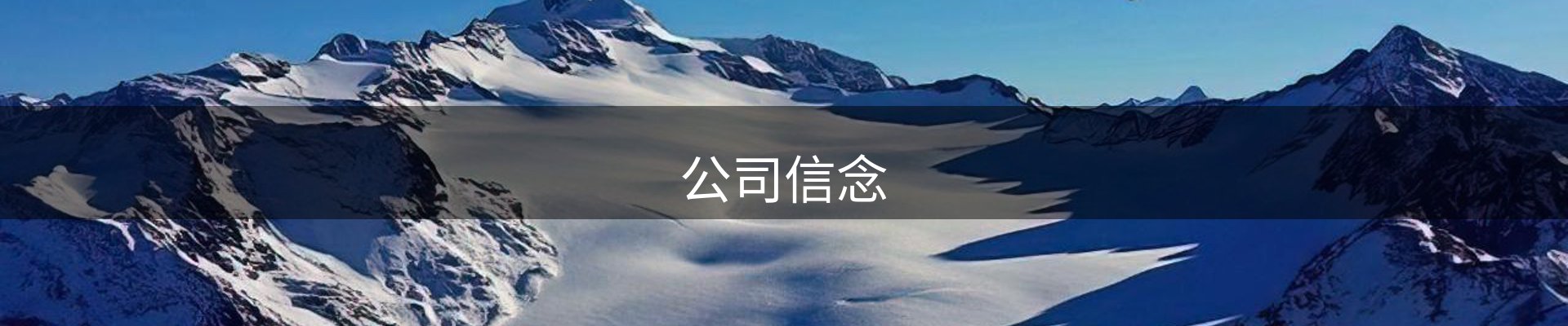 公司信念