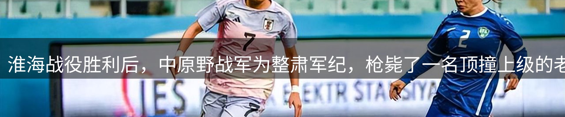 焦点解读